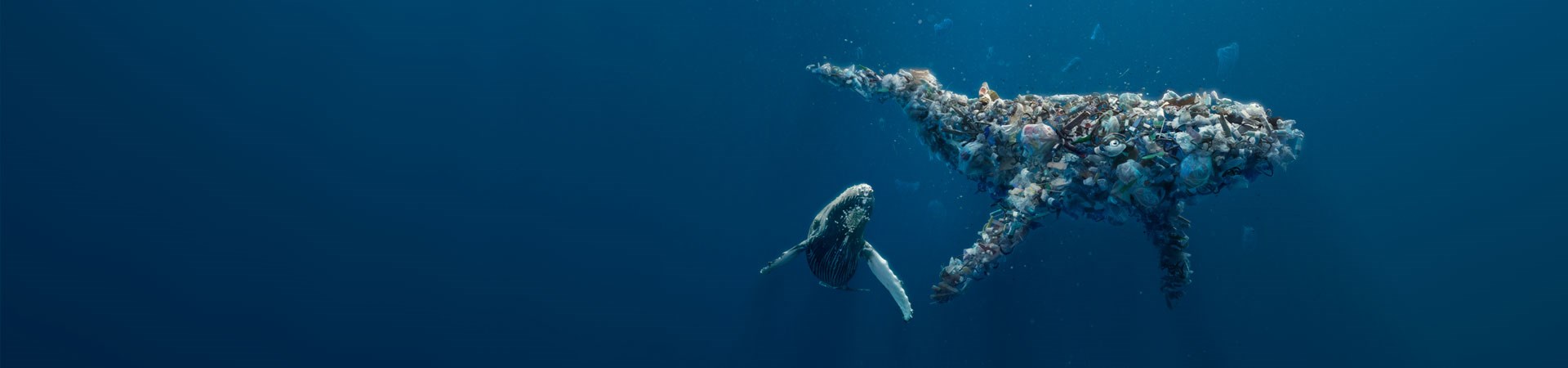 Better_Planet_Packaging_whale